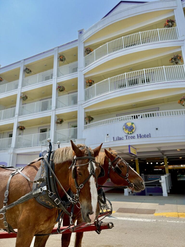 image0 horses in front of the lilac tree suites on main street downtown mackinac island